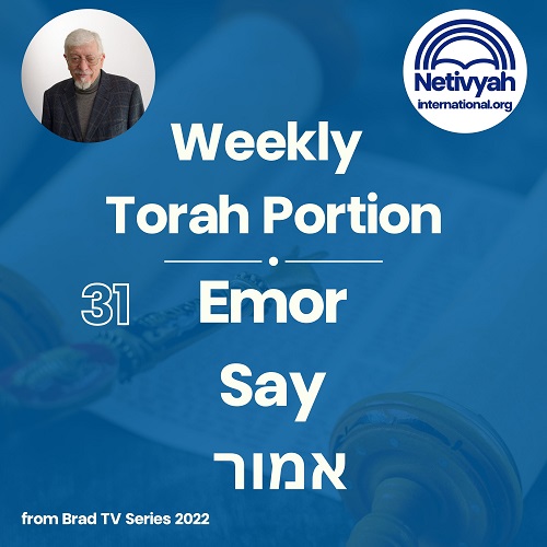 20240517_The Jerusalem Prayer List_TorahPortion_image_small.jpg 20240517_The Jerusalem Prayer List_TorahPortion_image_small.jpg