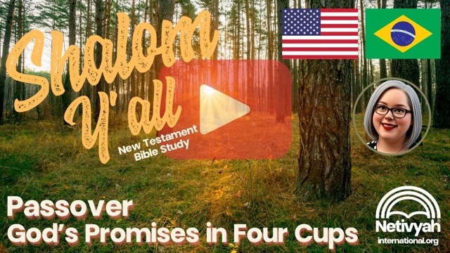 20250419_The Jerusalem Prayer List_Shalom Yall_Passover Gods Promises in 4 Cups.jpeg 20250419_The Jerusalem Prayer List_Shalom Yall_Passover Gods Promises in 4 Cups.jpeg